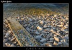 IN LAGUNA IN LAGUNA