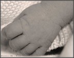 Tenerezze...a portata di mano... Tenerezze...a portata di mano...