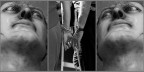 legame 2