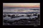 l'essenza marina l'essenza marina