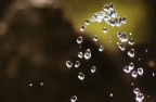 Drops Drops