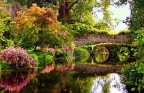 Ninfa Ninfa