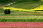 Castelluccio di Norcia
