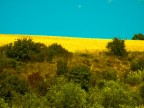i colori della toscana i colori della toscana