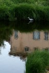 Nel fiume del mio paese... Nel fiume del mio paese...