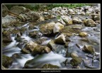Fluidità Fluidità
