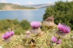 paesaggio paesaggio