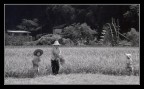 cina n.3 cina n.3
