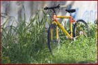 bicicletta