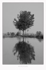 Riflessi Riflessi