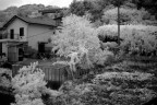 Fuji S5 Pro
Nikkor 28mm f/3.5 AI-S
Filtro Hoya Infrared R72