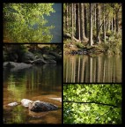 Una delle mie prime composizioni...