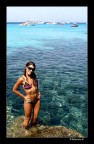 welcome to paradise welcome to paradise