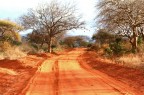 A zonzo per la Savana A zonzo per la Savana