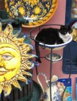 ...troppo sole!... ...troppo sole!...