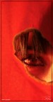 Oltre con Rosso 0005 Oltre con Rosso 0005