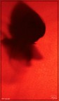 Oltre con Rosso 0002 Oltre con Rosso 0002