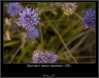 SECRET SPOT 05