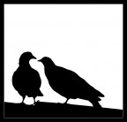 Lovers Lovers