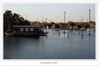 Piccola comunit�.... galleggiante