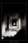 solitude solitude