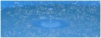 Drop Drop