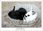Tutti al calduccio... Tutti al calduccio...