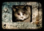 Nel buco Nel buco