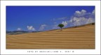Campagna senese Campagna senese