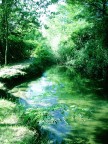 Stagno 4 Stagno 4