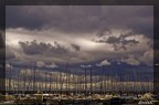... oggi non si esce... ... oggi non si esce...