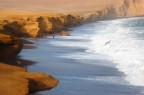 Riserva Paracas(Peru')