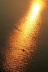 sunset sunset