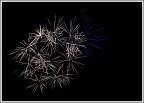 Fuochi d'artificio Fuochi d'artificio