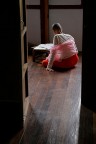 Lettura Lettura