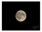 Luna... nothing special Luna... nothing special