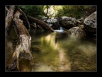 River River