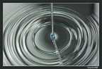 La forma dell'acqua La forma dell'acqua