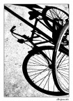 full bike shadow full bike shadow