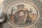 Romani viziosi Romani viziosi