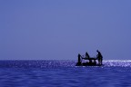 Piaceri di una sera di mezza estate Piaceri di una sera di mezza estate