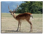 Natura Natura