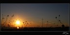 Tramonto Tramonto