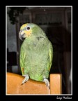 chicca a 3 anni chicca a 3 anni
