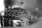 :: La goccia che fa traboccare il vaso... :: La goccia che fa traboccare il vaso...