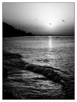 ::: ALBA FINALESE ::: ::: ALBA FINALESE :::