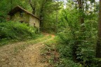 la casa nel bosco la casa nel bosco
