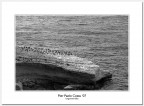 lungomare Balai #60 (come pinguini) lungomare Balai #60 (come pinguini)