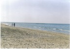 passeggiata in riva al mare passeggiata in riva al mare
