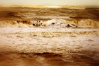 mare mare